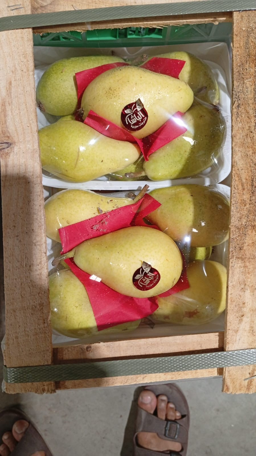 Pears Plate 1x2 كمثرى/ اطباق