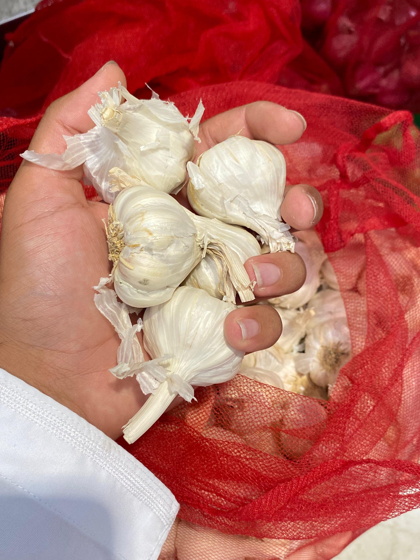 Garlic/ India 0.5Kg ثوم هندي