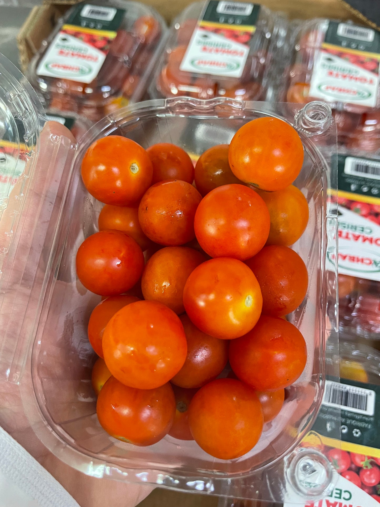 ((Cherry Tomato)) pct طماطم كرزي بكت