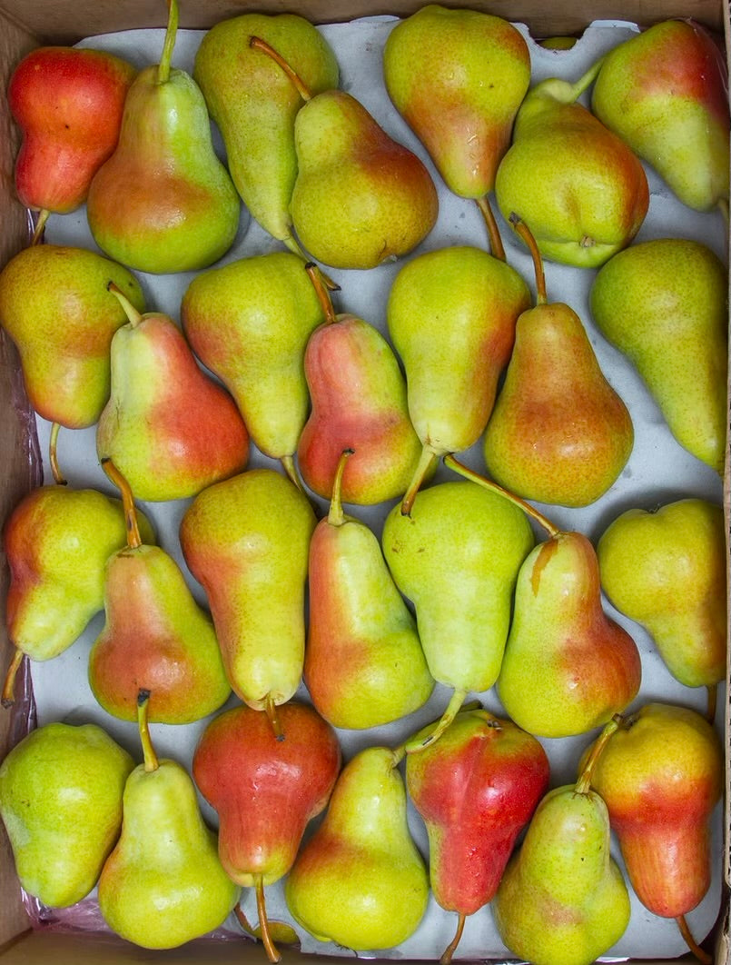 Pears/ Rosemary box 13kg كمثرى روز ميري