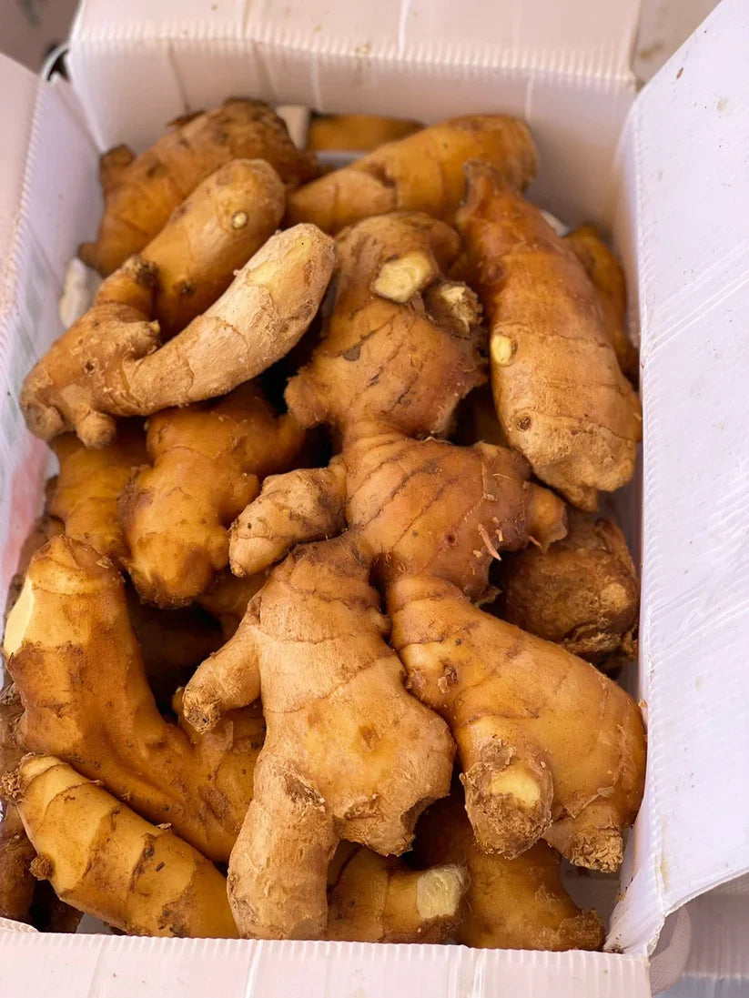 Ginger/ China 3kg زنجبيل صيني كرتون