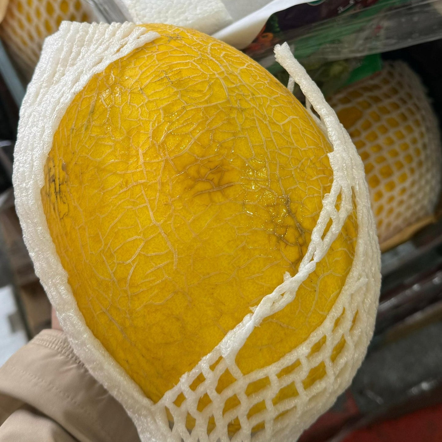 Cantaloupe Gold/ Iran 1PC شمام ايراني ذهبي حبة