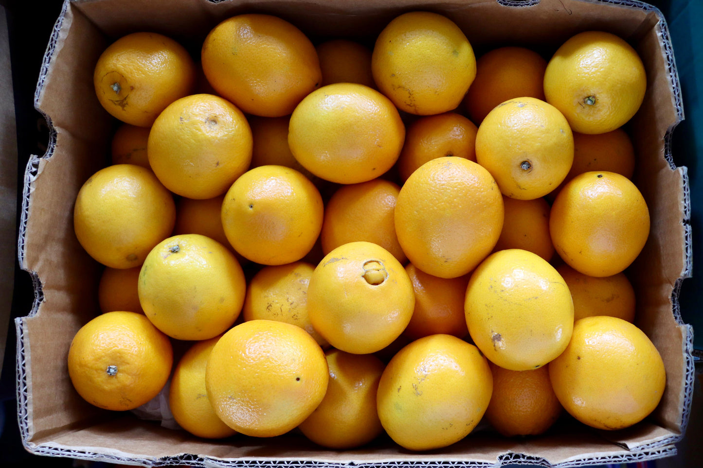 Orange Abu Sura S/A 13-15KG كرتون برتقال ابو صرة افريقي