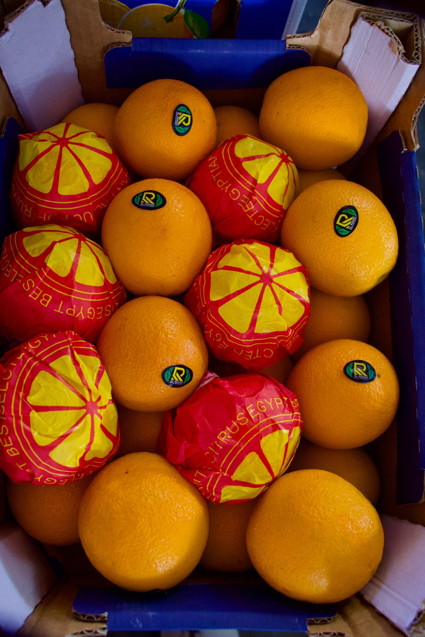 Orange Valencia 6-7kg برتقال فالنسيا