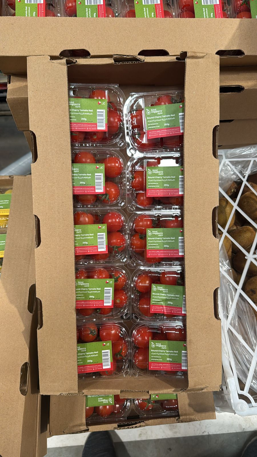 Tomato Cherry (1*10) طماطم كرزي