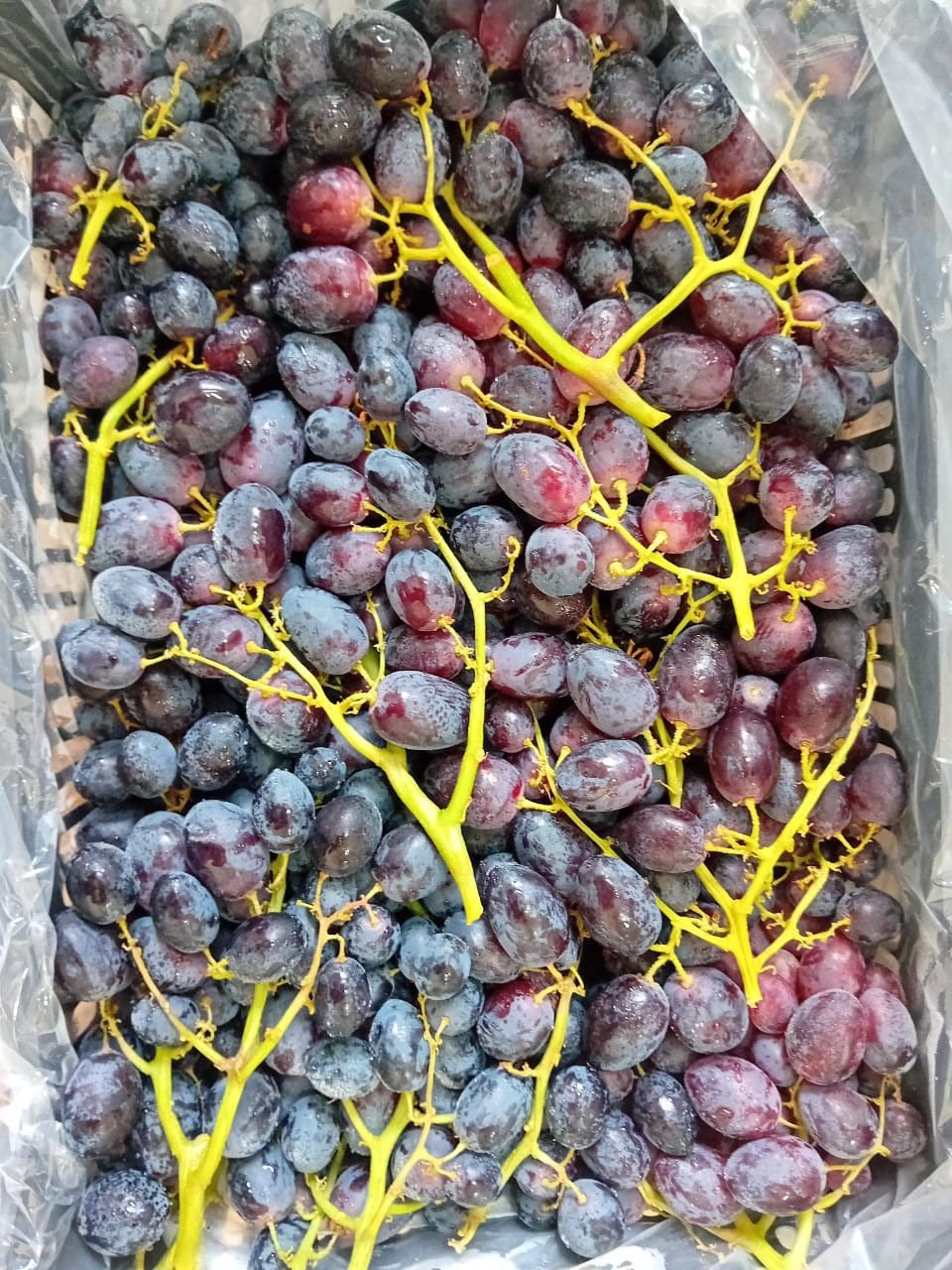 Grapes Black Labanon 0.5Kg عنب اسود لبناني