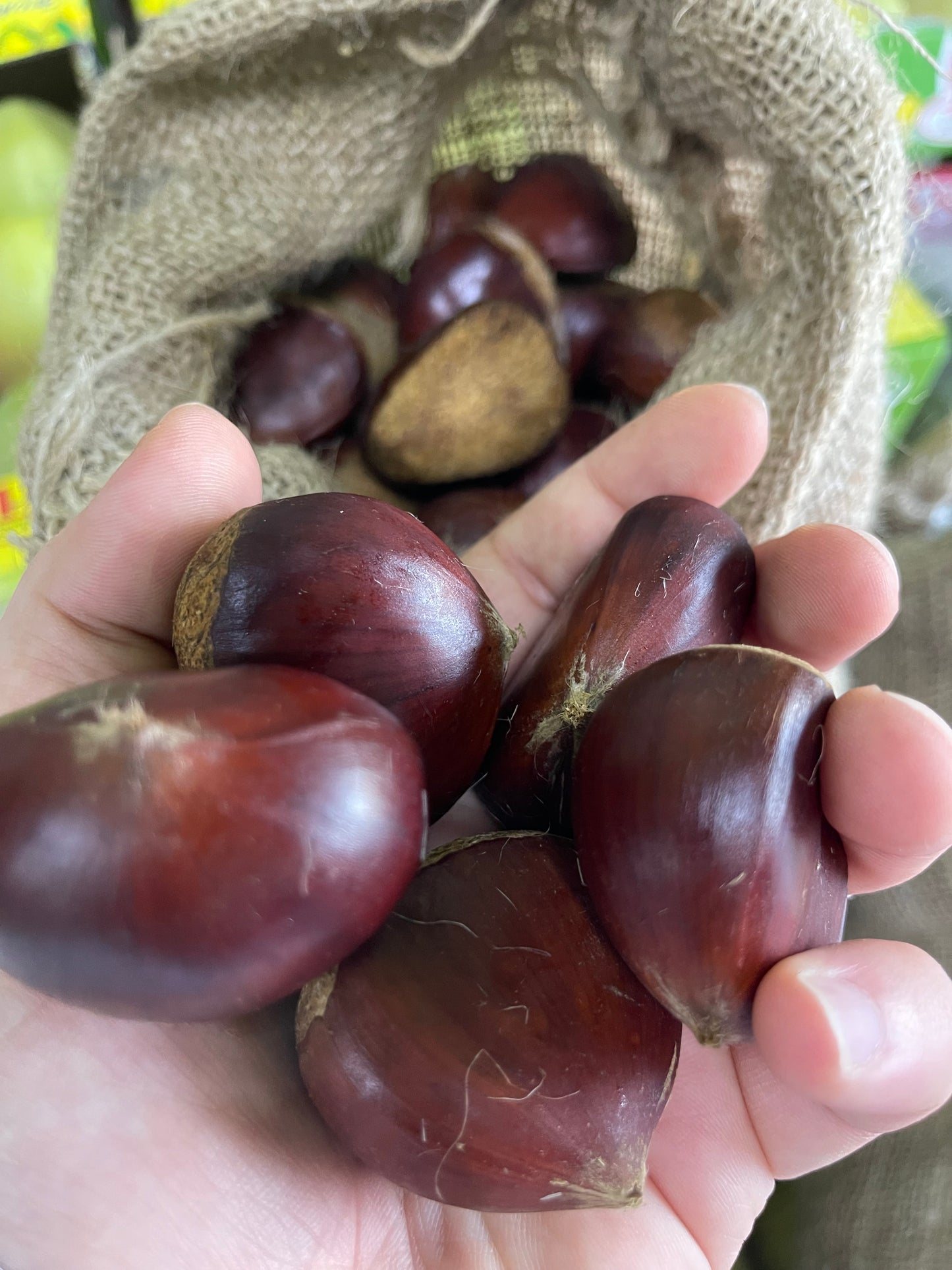 ((Chestnut)) 1Kg بندق/كستناء واحد كيلو
