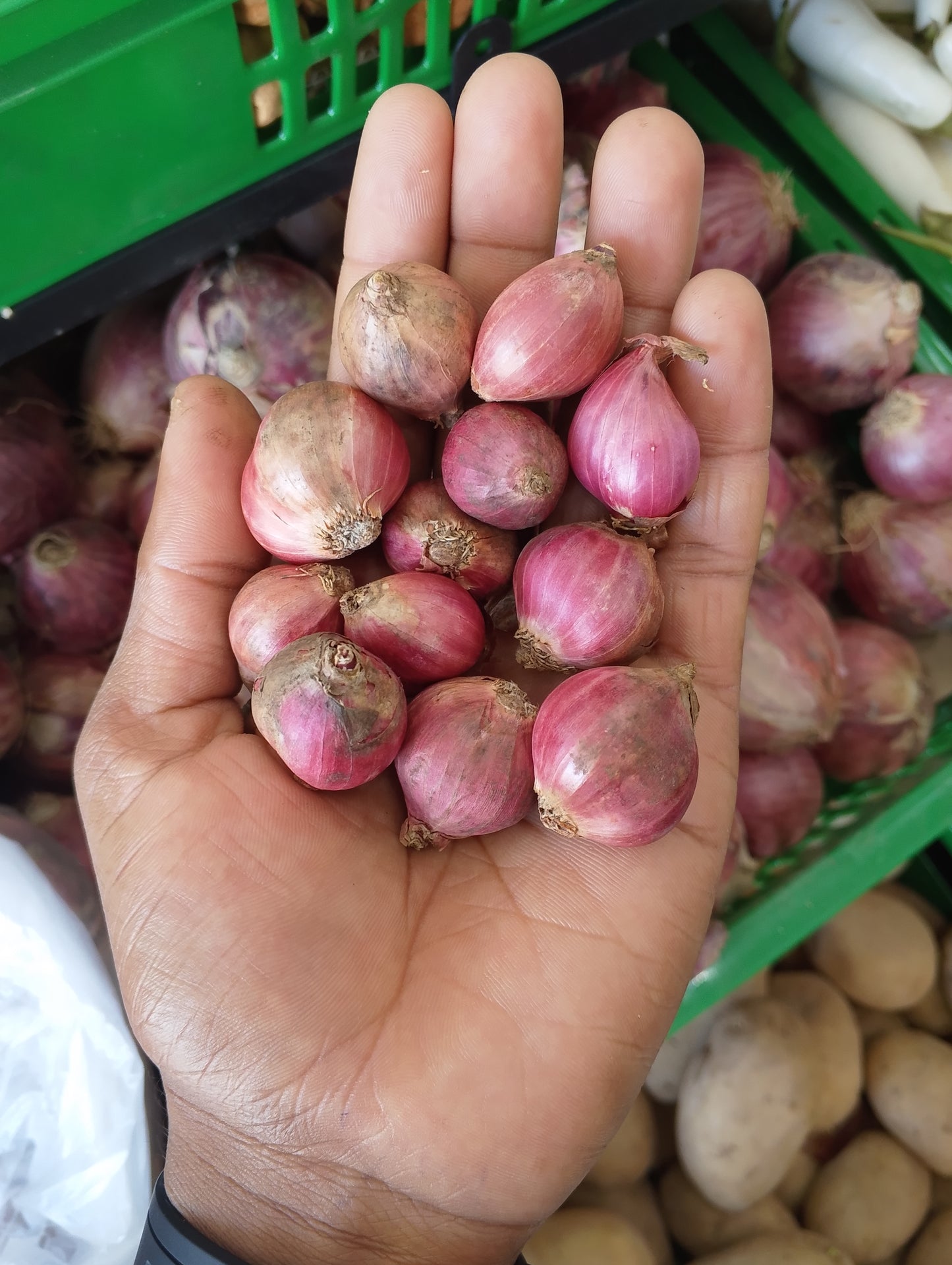 (Onion India) per 250g بصل هندي بيبي