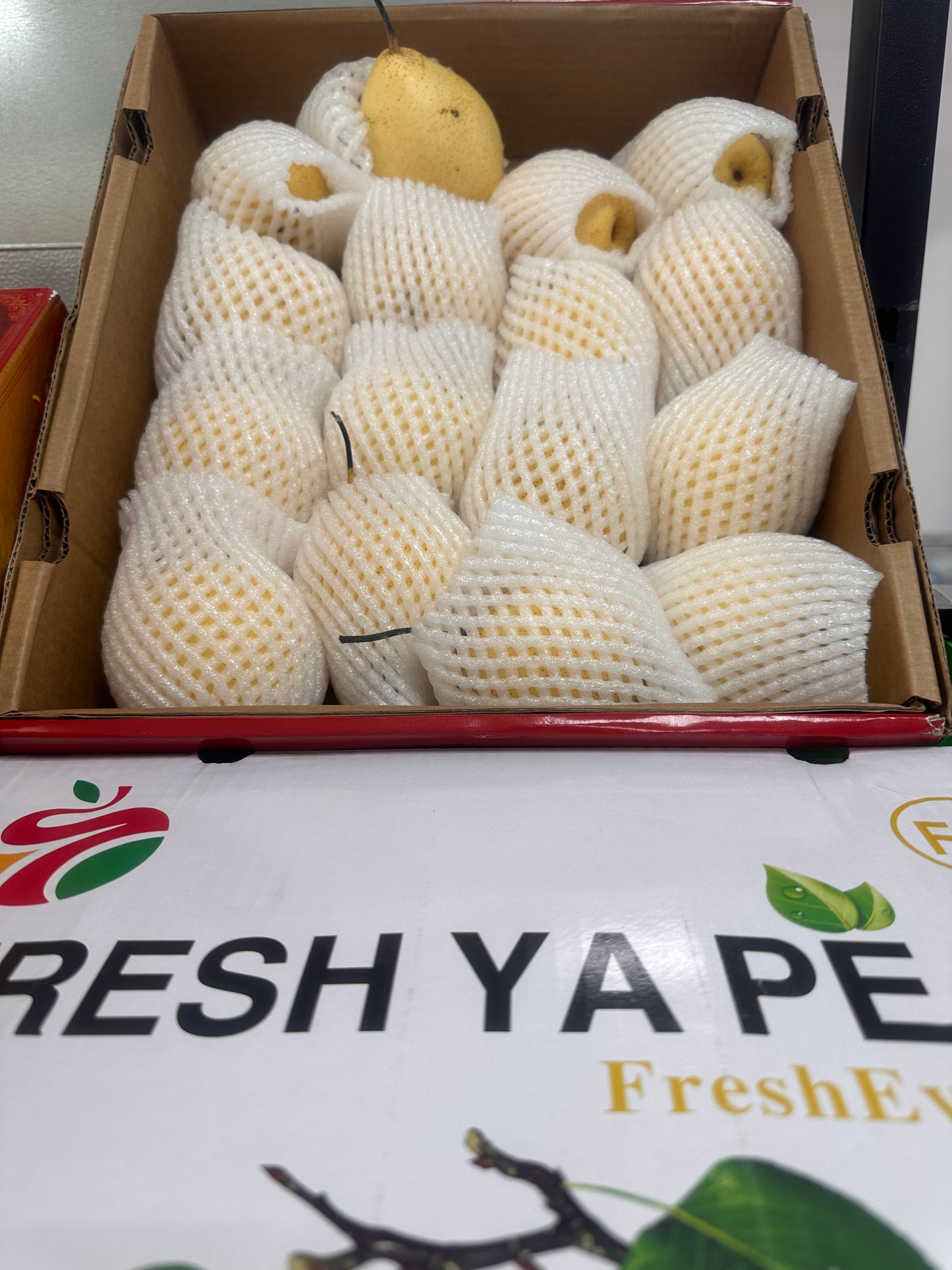 Pears/ china 1Kg كمثرى صيني واحد كيلو