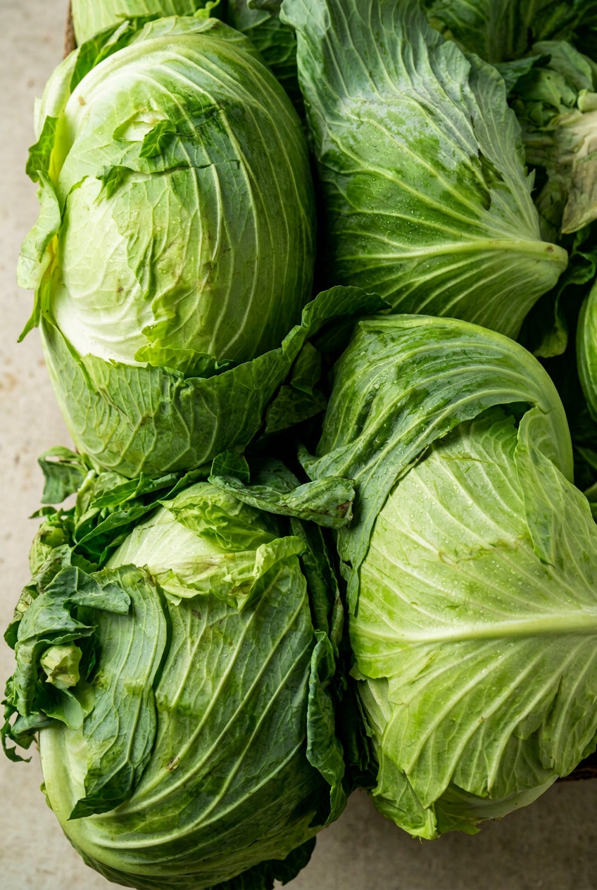 Cabbage Green (Big) 20kg ملفوف كبير للمحشي