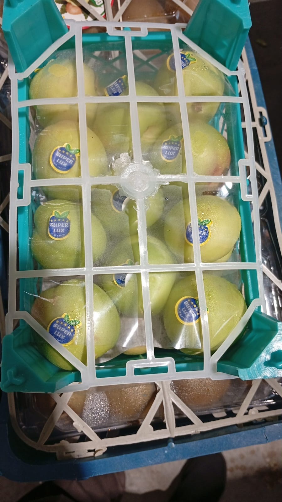 Apricot Medium Basket مشمش سلة وسط