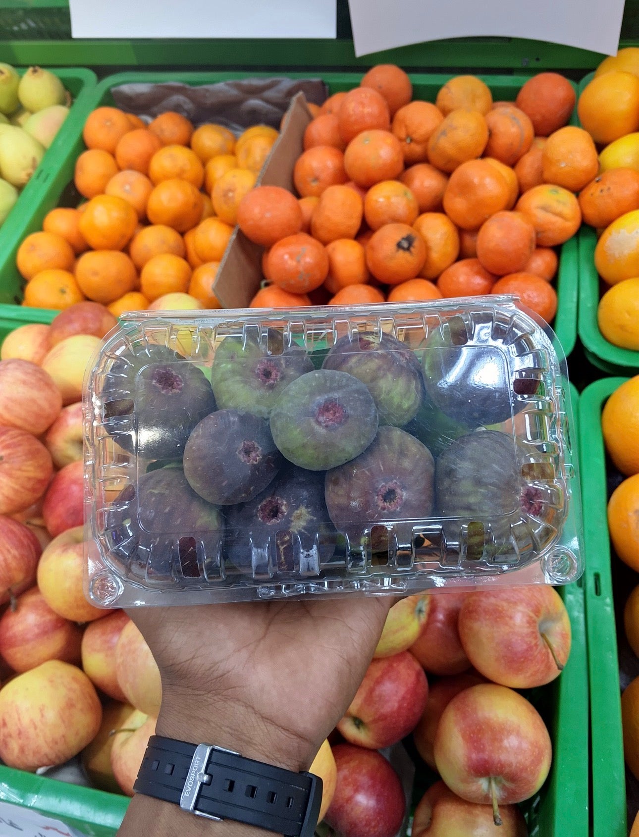 ((Fig))Oman pct تين عماني بكت