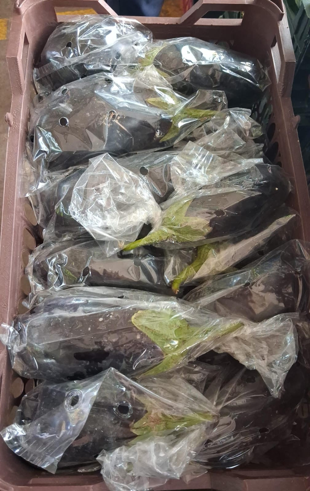 (Grade B) Eggplant box باذنجان كرتون درجة ٢