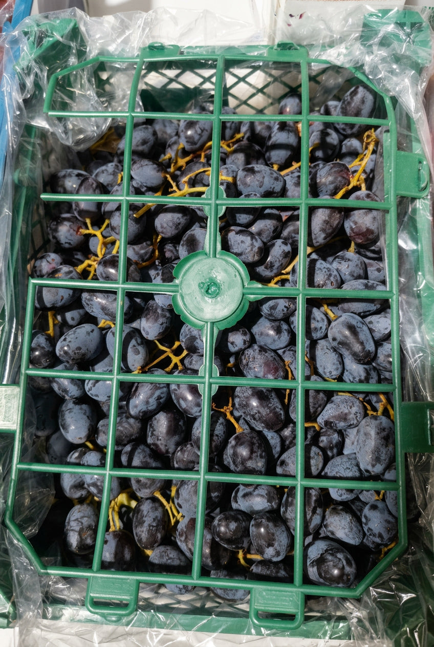 Grapes Lebanon Small عنب لبناني صغير