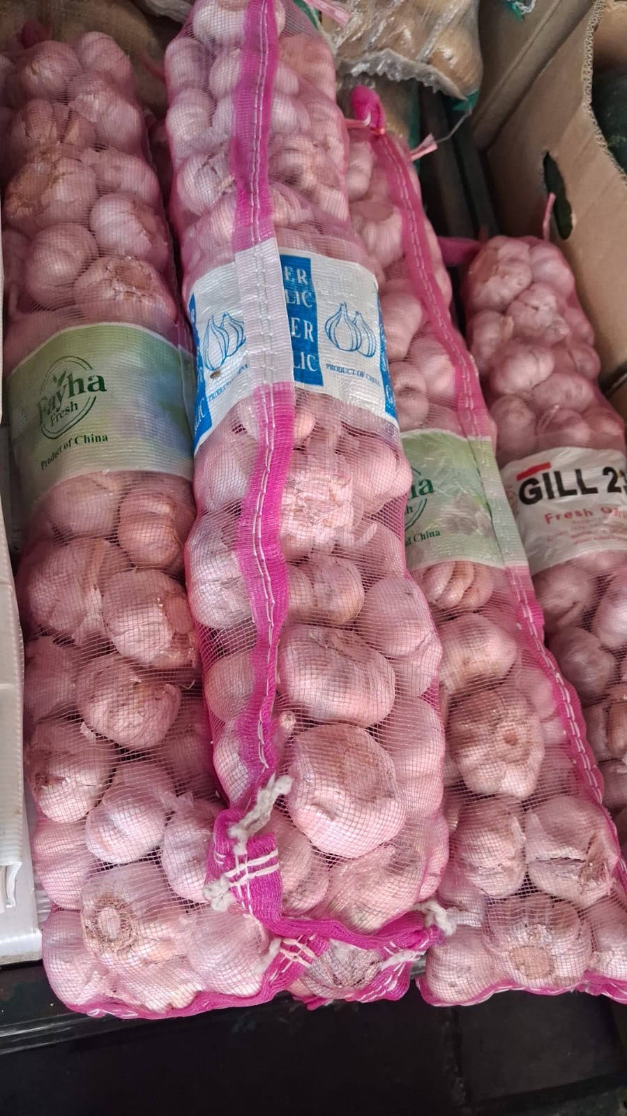 (Grade B) Garlic Net ثوم جونية رقم ٢