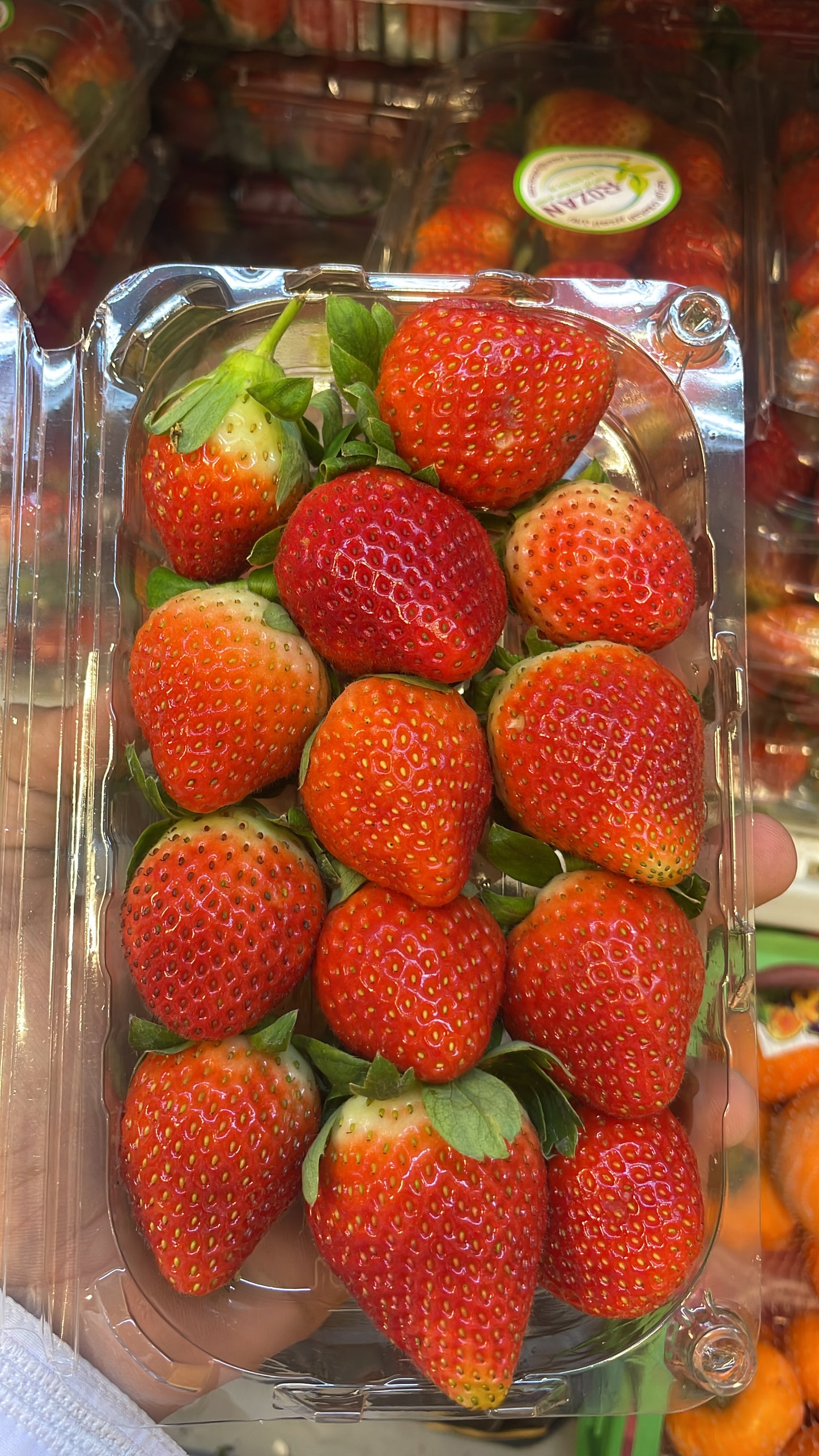 ((Strawberry)) pct فراولة