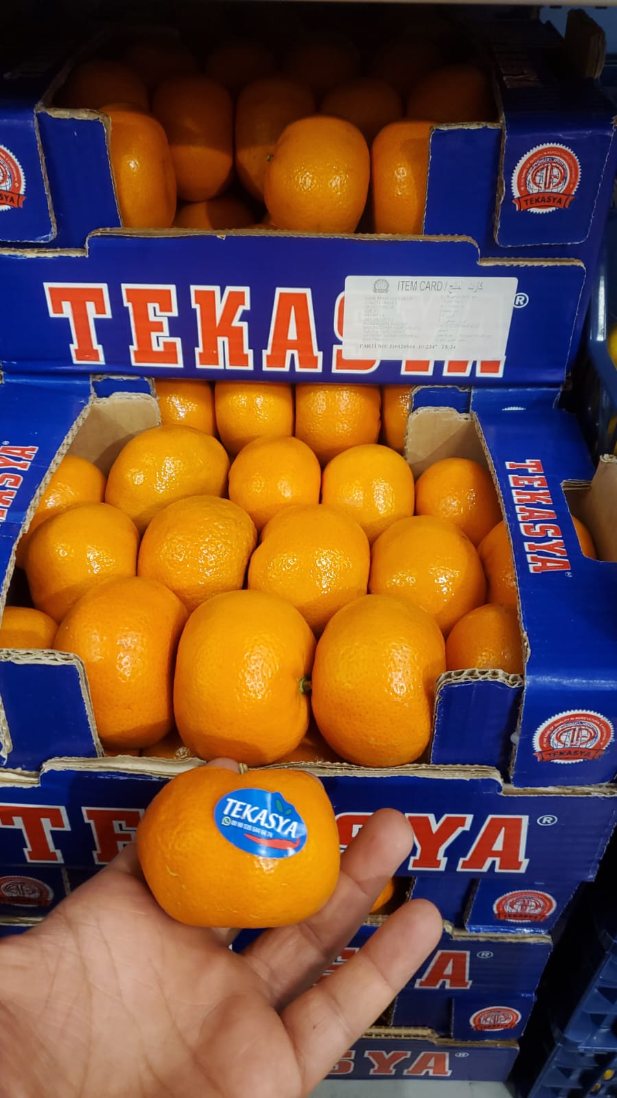 Mandarin (Turkey) BOX 2-3kg سنتره تركية كرتون