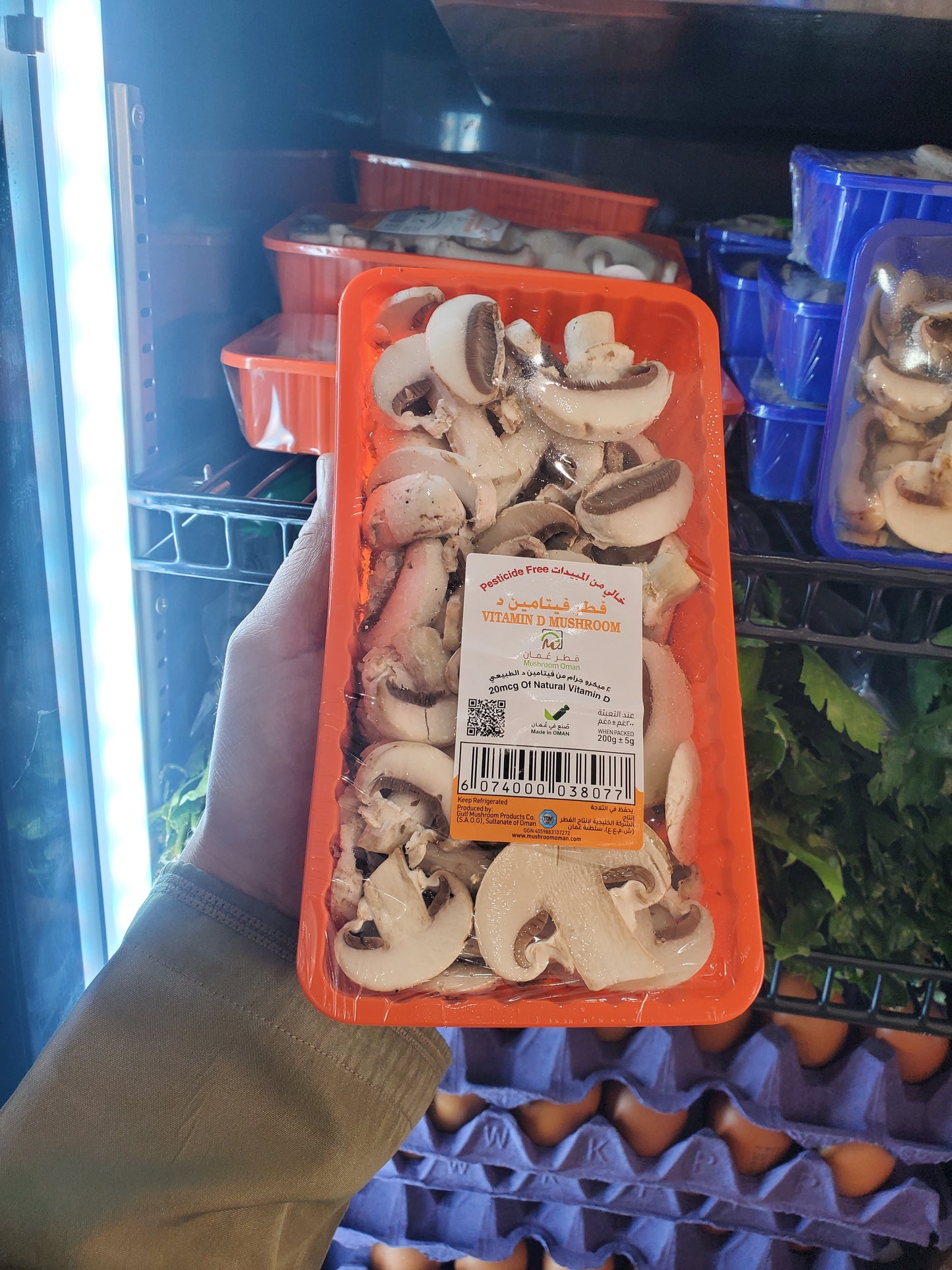 Mushroom Vitamin D مشروم فيتامين د