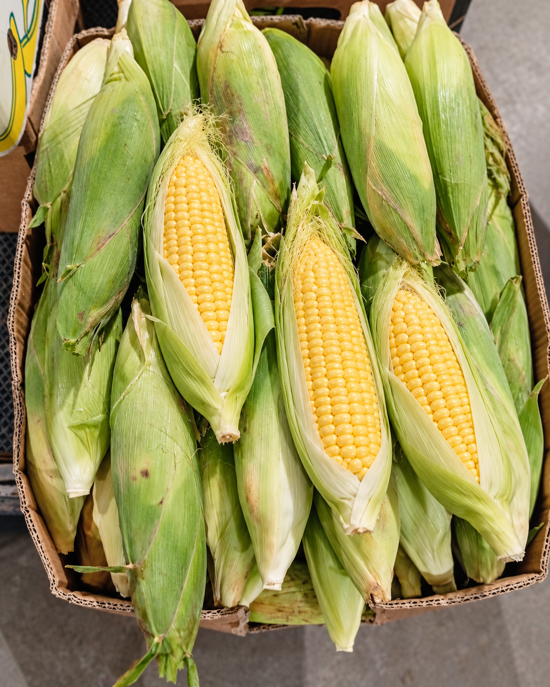 Sweet corn 20kg ذرة كرتون