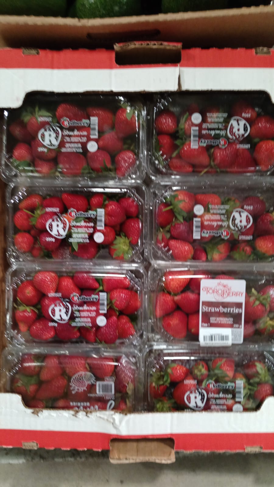 ((Strawberry))S/Afirca (1*16) فراولة افريقية