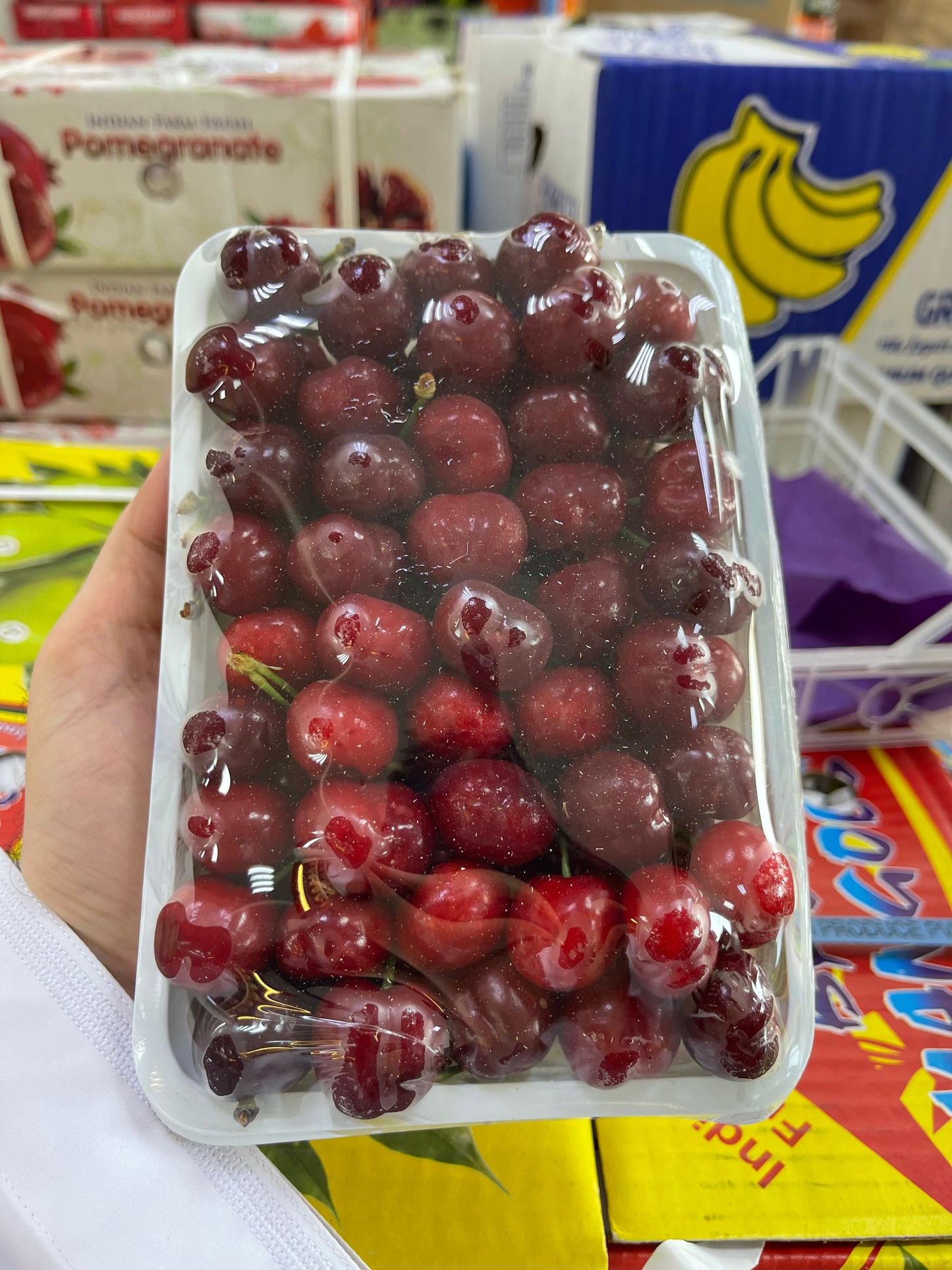 Cherry/ Syria pct كرز سوري بكت