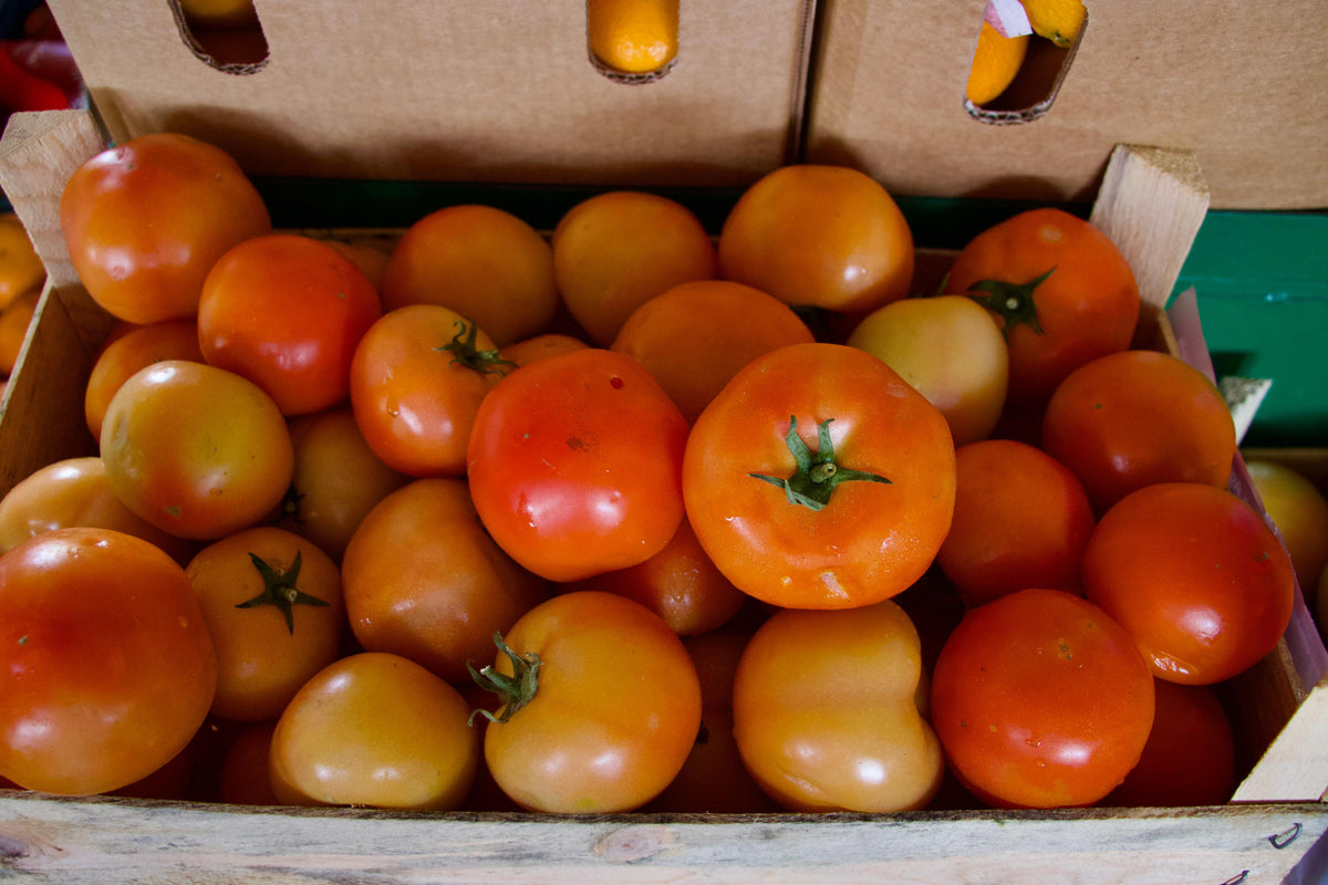 Tomato/ Jordan 6kg طماطم اردني