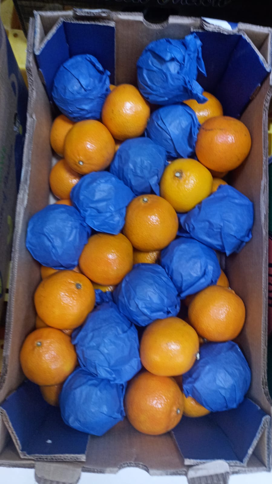 Mandarin S/ Africa 1kg سنترة ج/ افريقيا