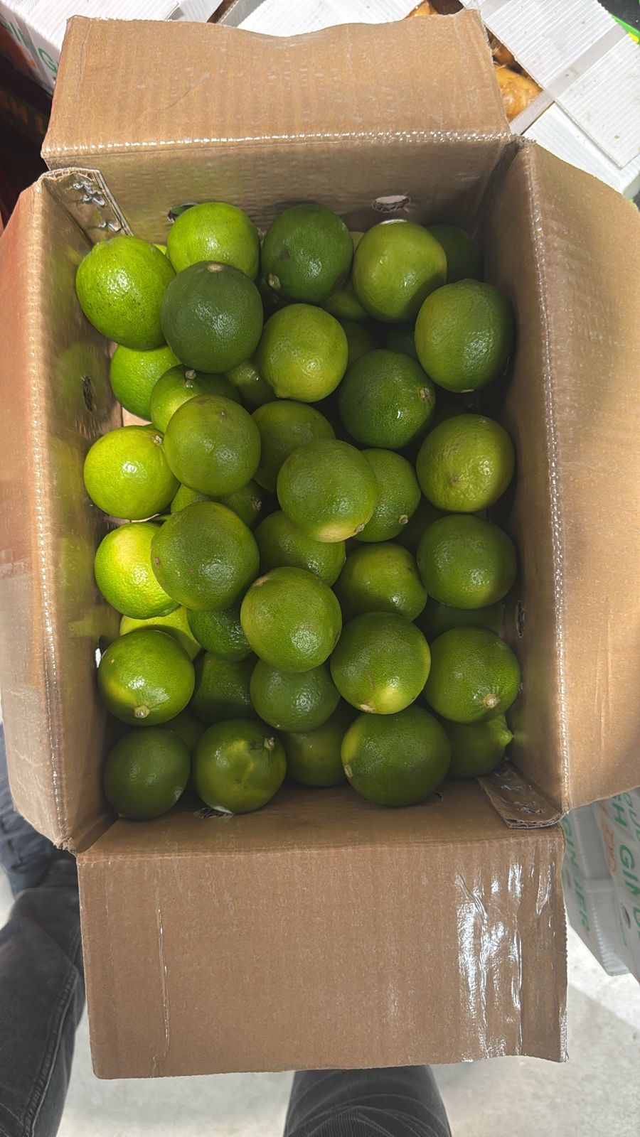 Lemon/ Vietnam 4.5kg ليمون ڤيتنام