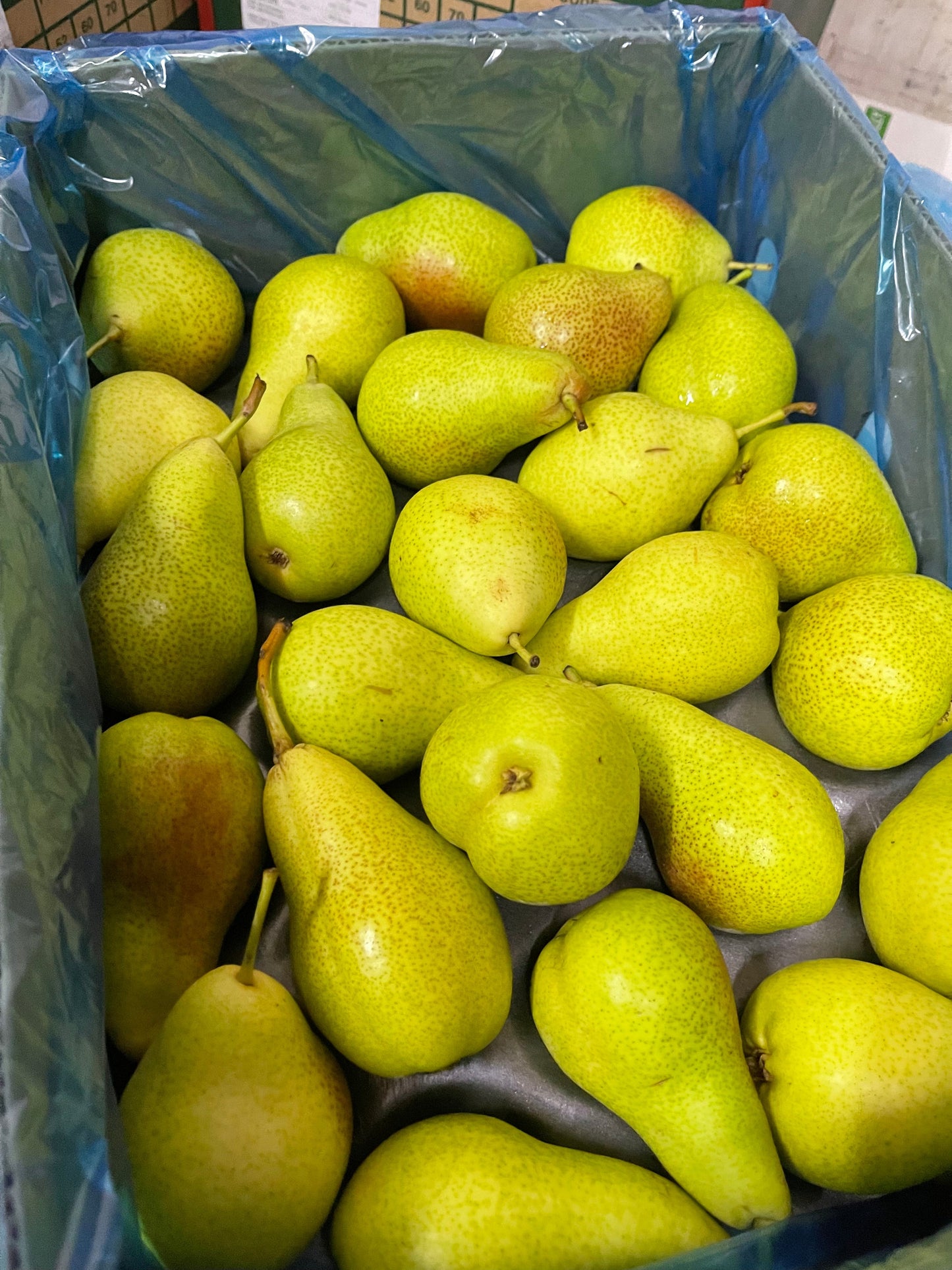 Pears/ Rosemerry 1Kg كمثرى/روز ميري كيلو