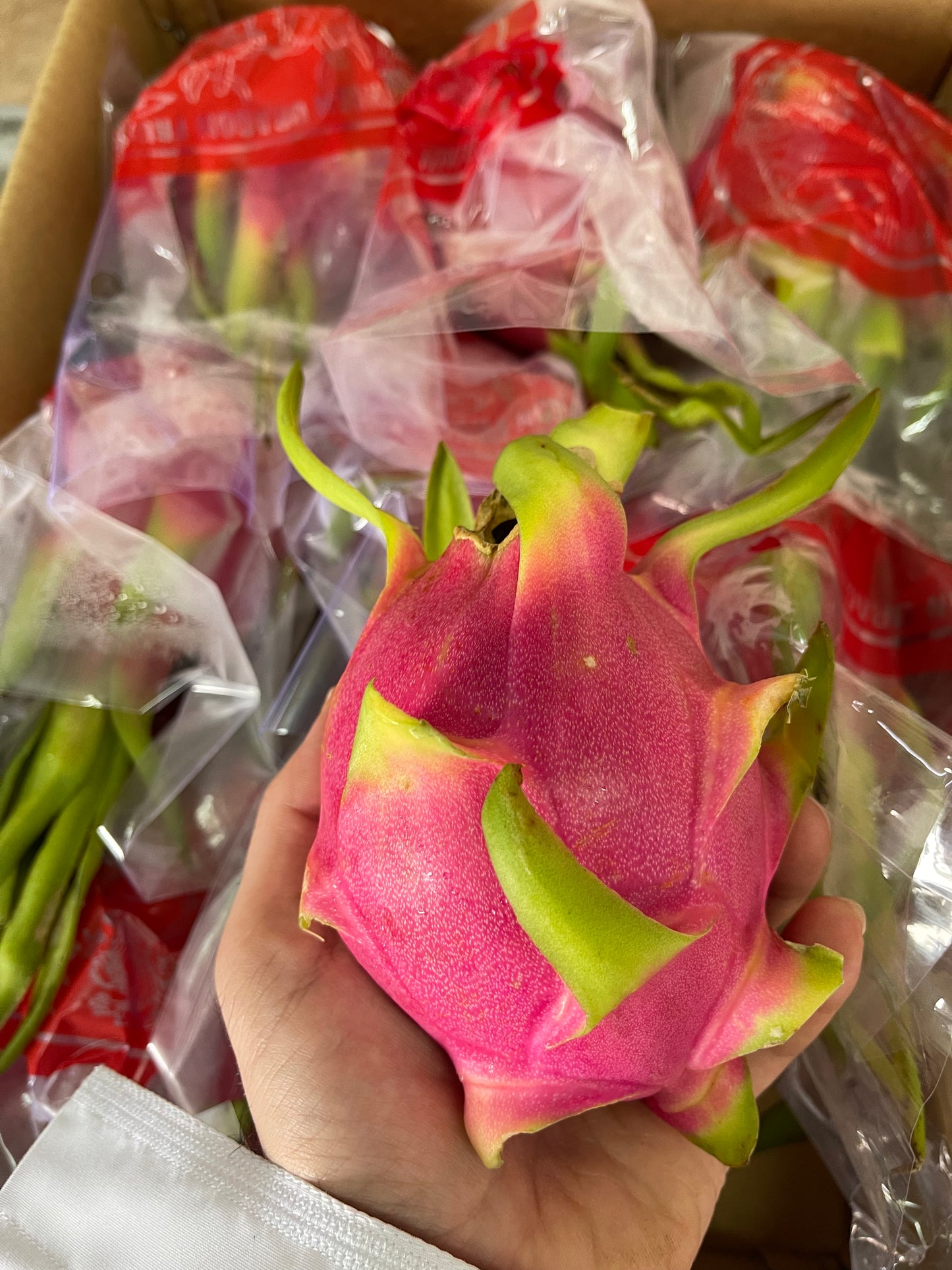 ((Dragon Fruit)) 1pc دراجون فروت حبة