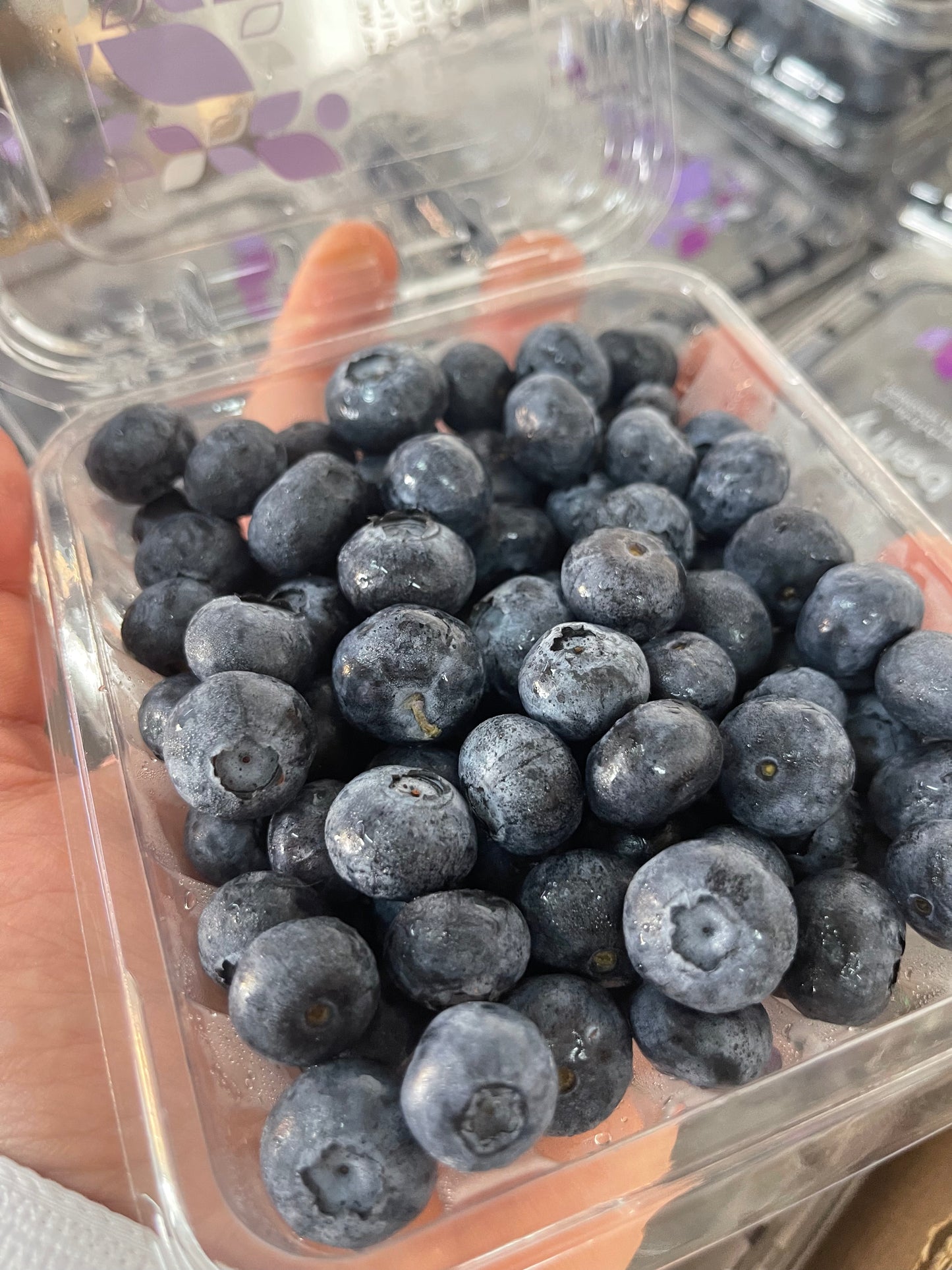 (Blue Berry) pct S/A بلو بيري بكت