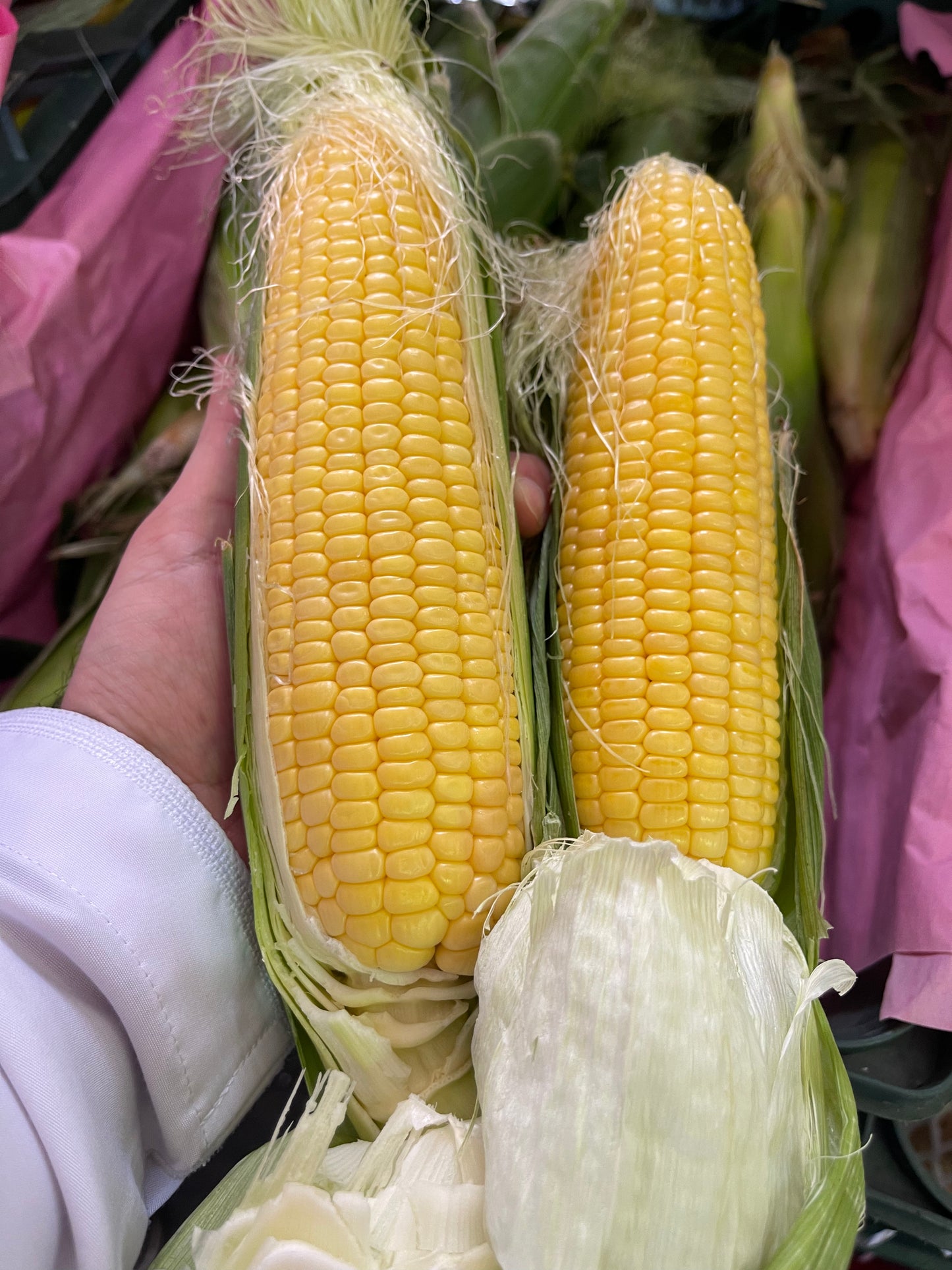 ((Sweet))Corn Iran 5pc ذرة ايرانية 5 حبات