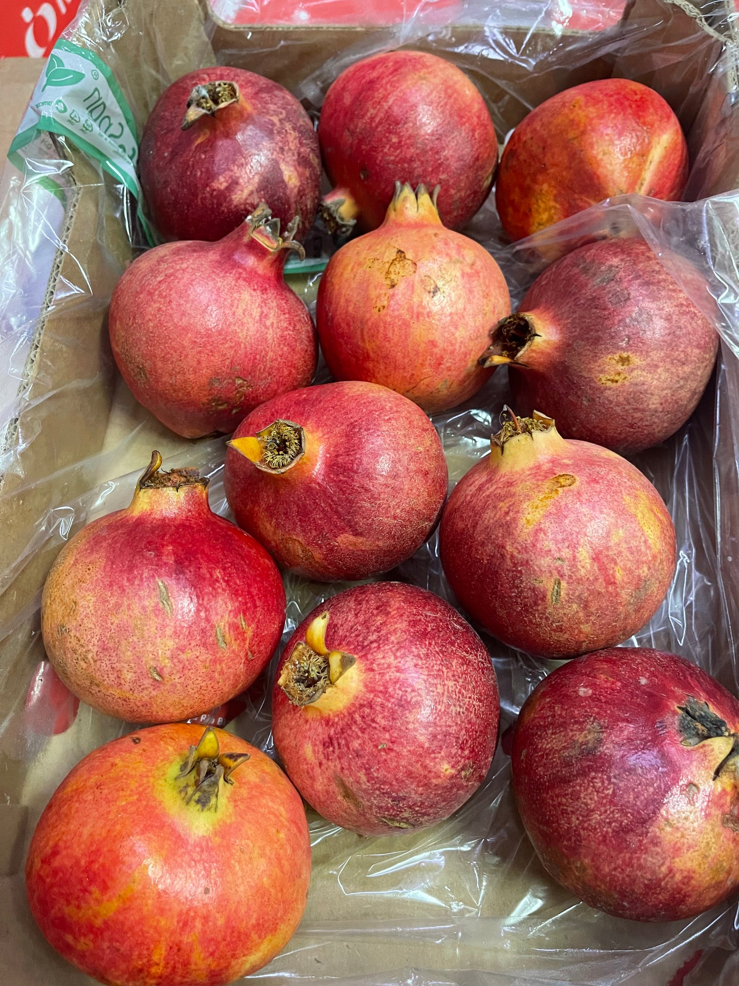 Pomegranate/ India box 2kg رمان هندي كرتون