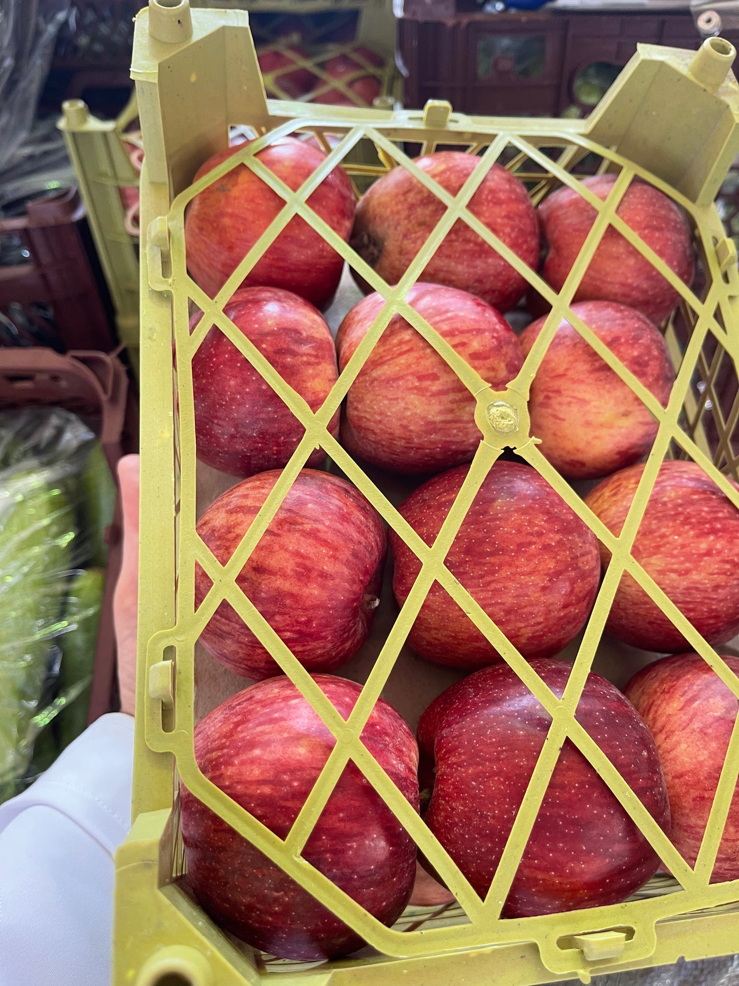 Apple/red Iran basket تفاح احمر ايراني سله