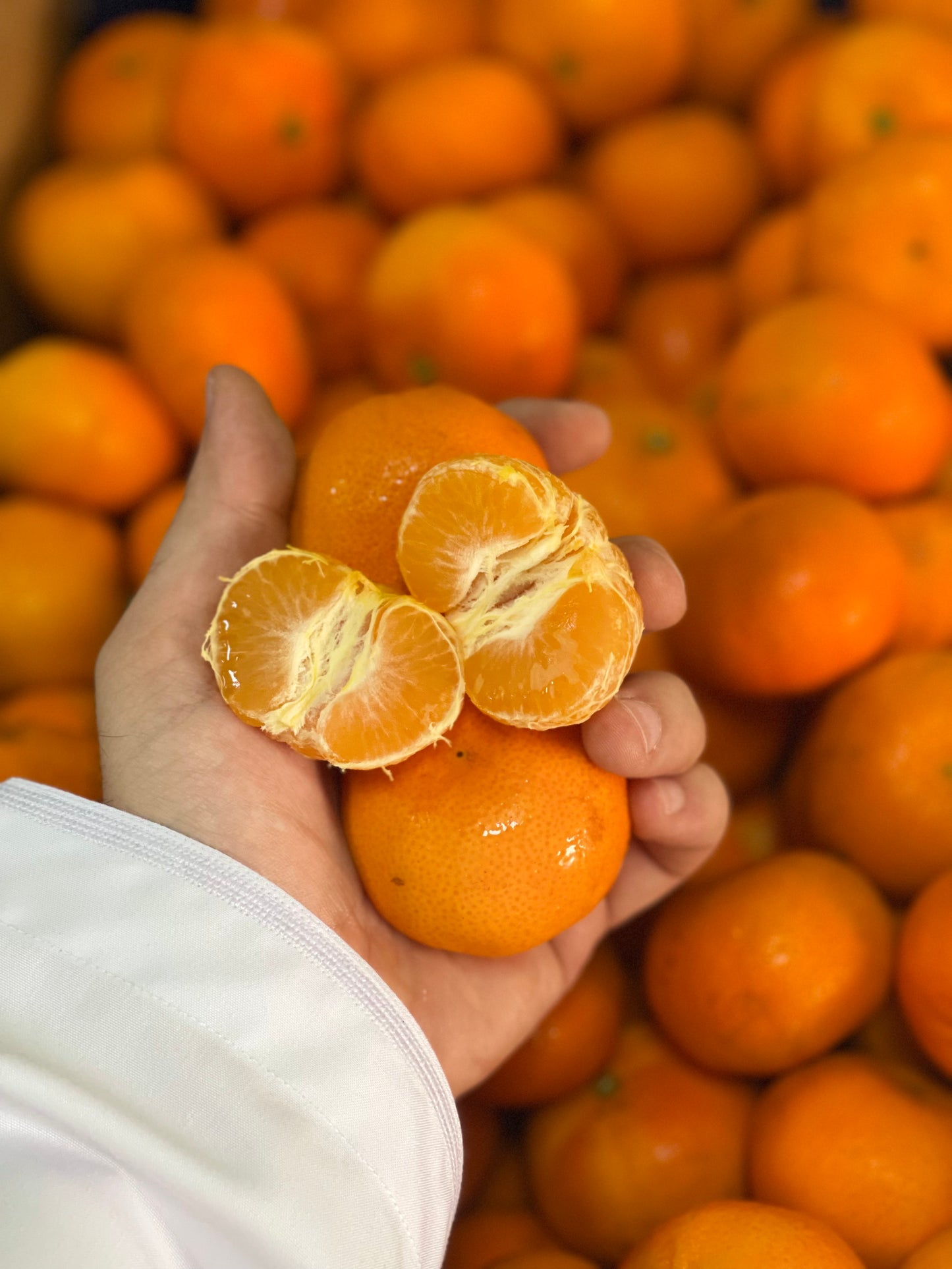 Mandarin Africa 0.5kg سنتره أفريقي