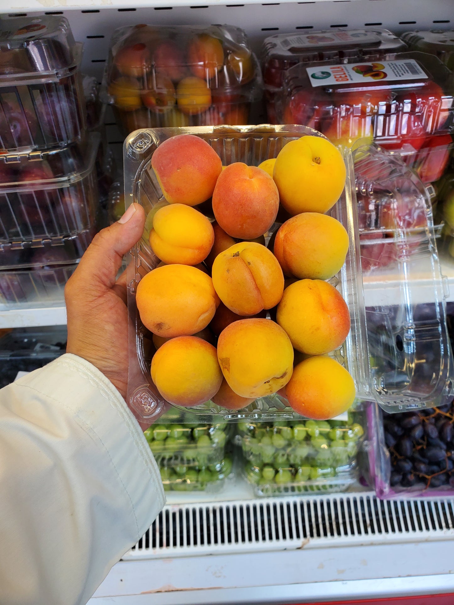 Apricot Pct مشمش