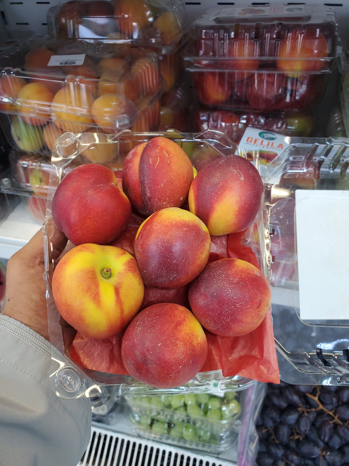 Nectarine pct نكترين بكت