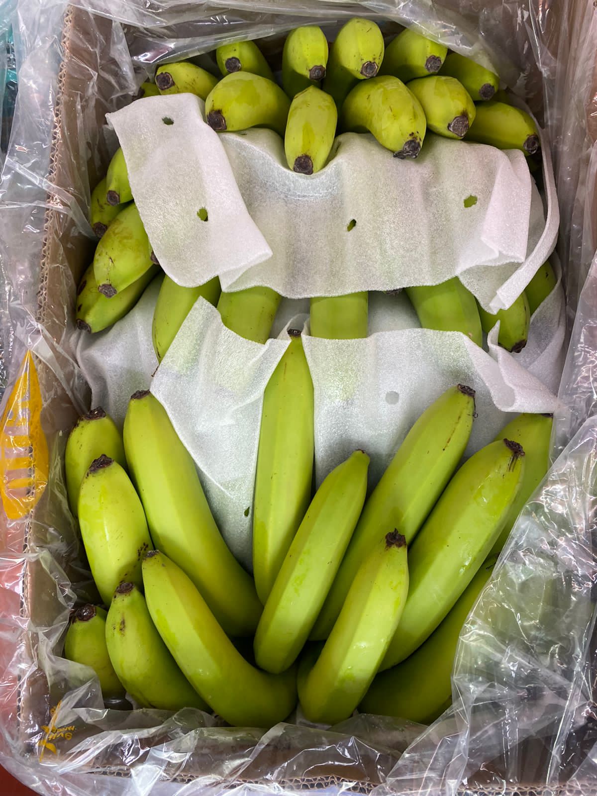 Banana/ Philippine 0.5kg موز فلبيني