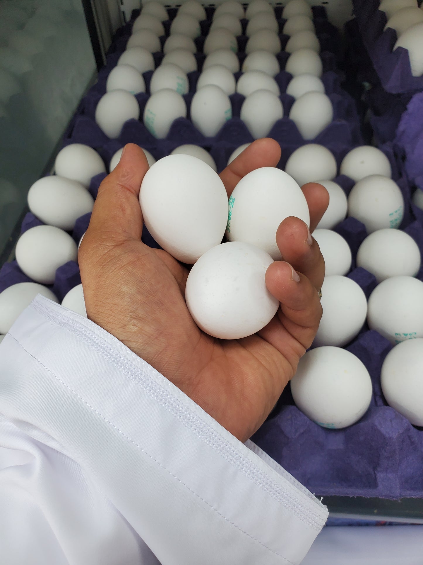 Eggs Al Dana xl (1*30)Pc بيض الدانه