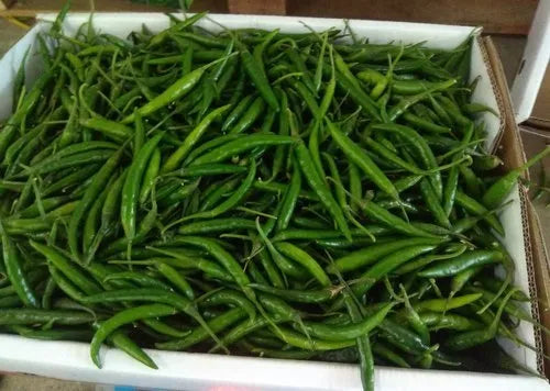 Chilli India Box4kg كرتون فلفل حار هندي