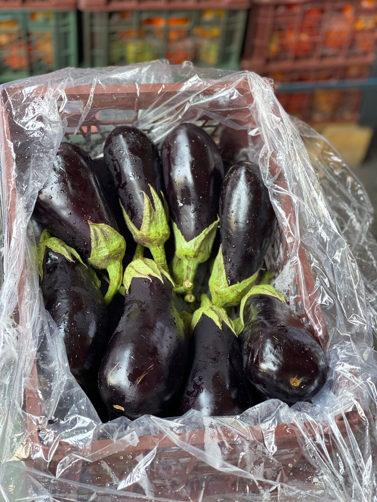 Eggplant/ Oman 3kg باذنجان عماني
