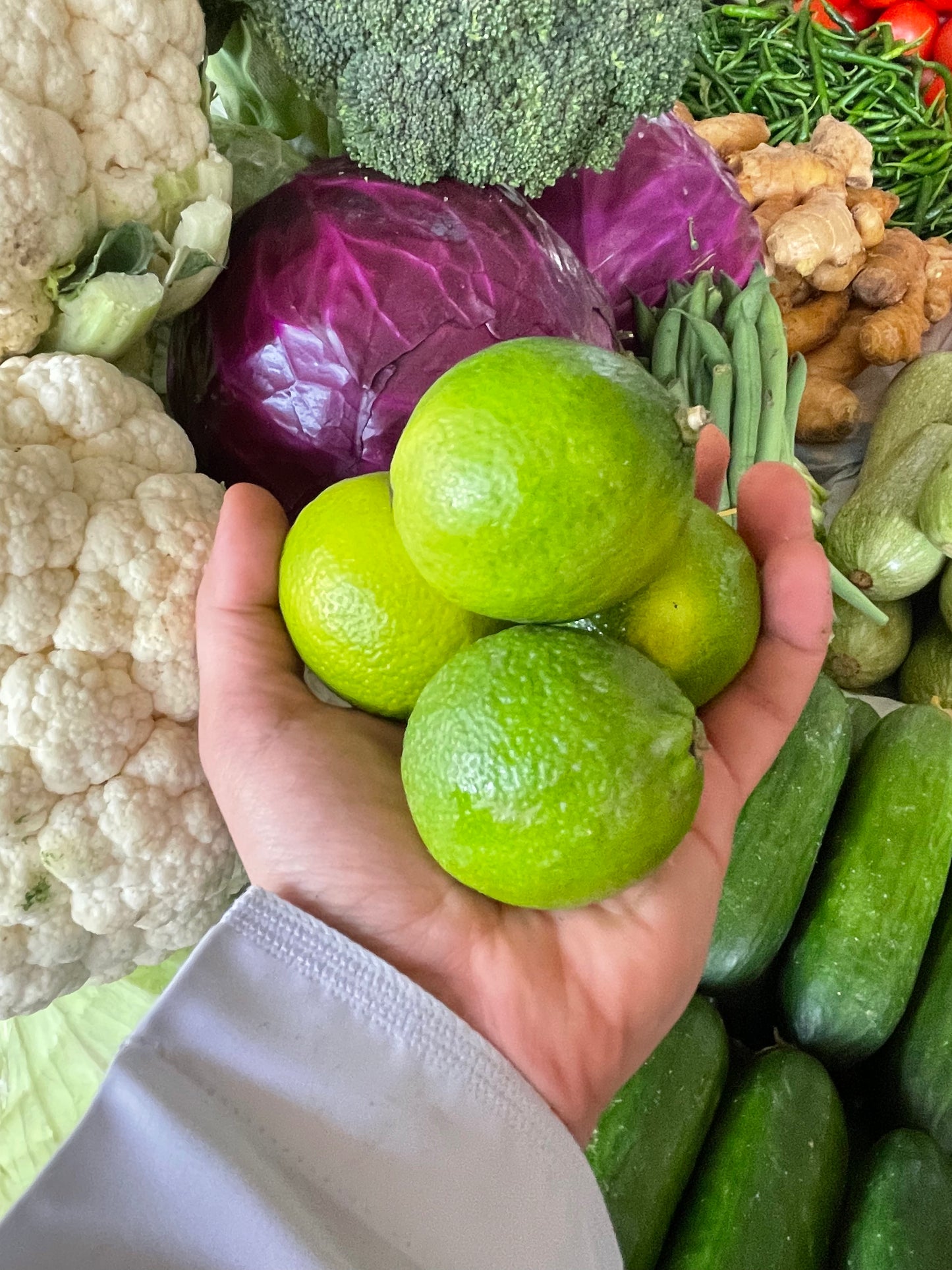 Lemon/ Vietnam 1Kg ليمون ڤيتنام كيلو