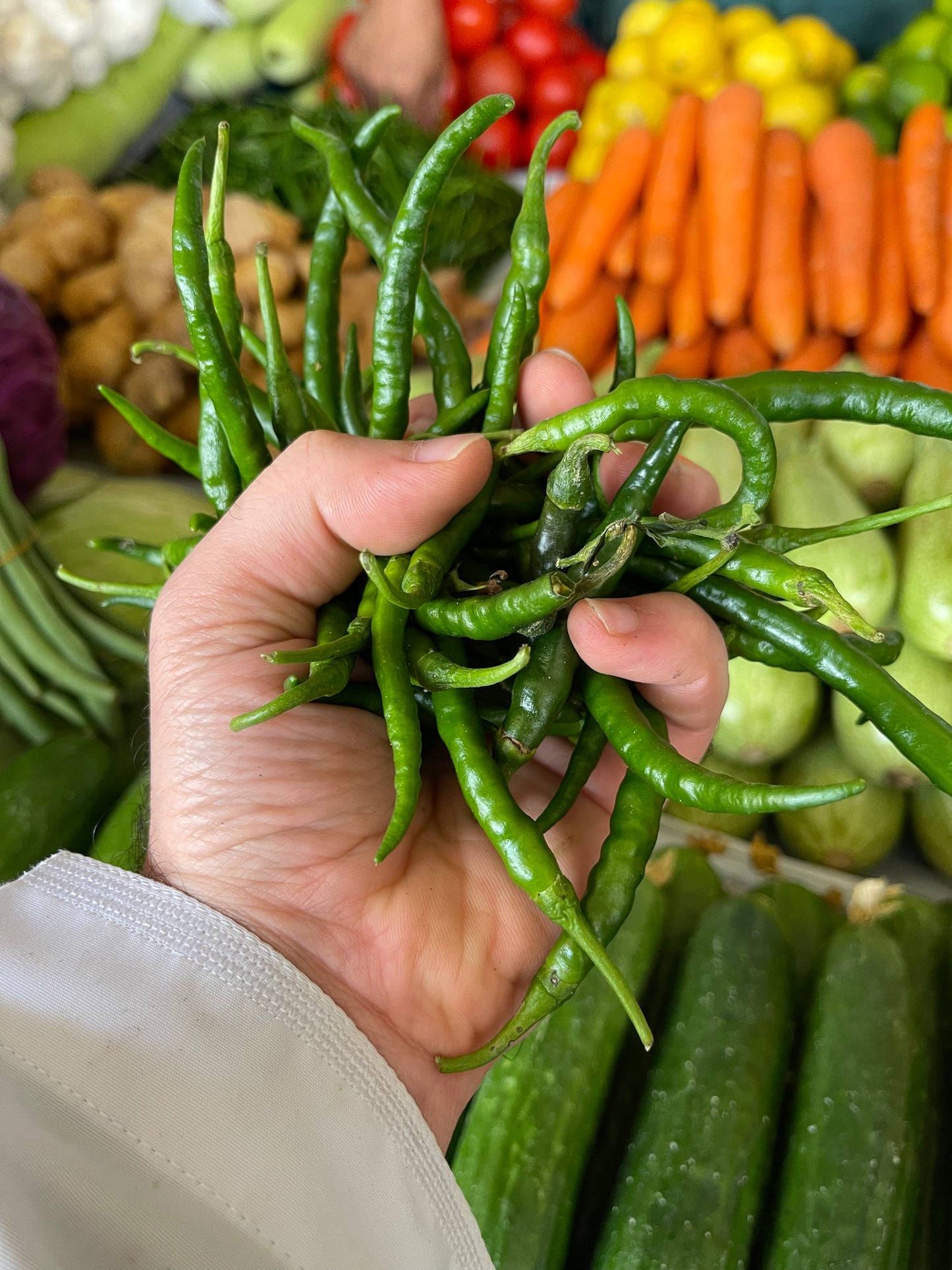 Chilli / India 250g فلفل حار هندي