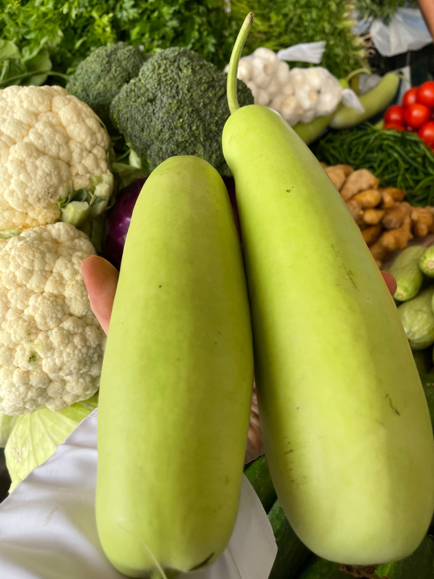 Green Pumpkin/Oman (KADHU) 1kg قرع عماني