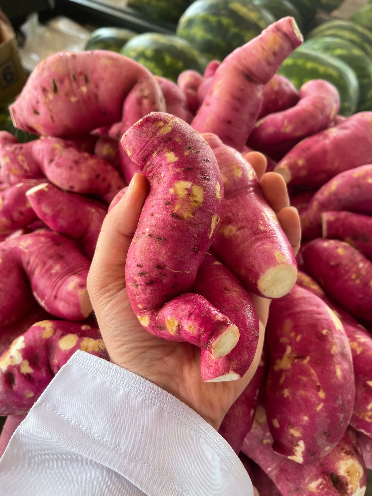 Sweet Potato Oman 0.5kg فندال عماني