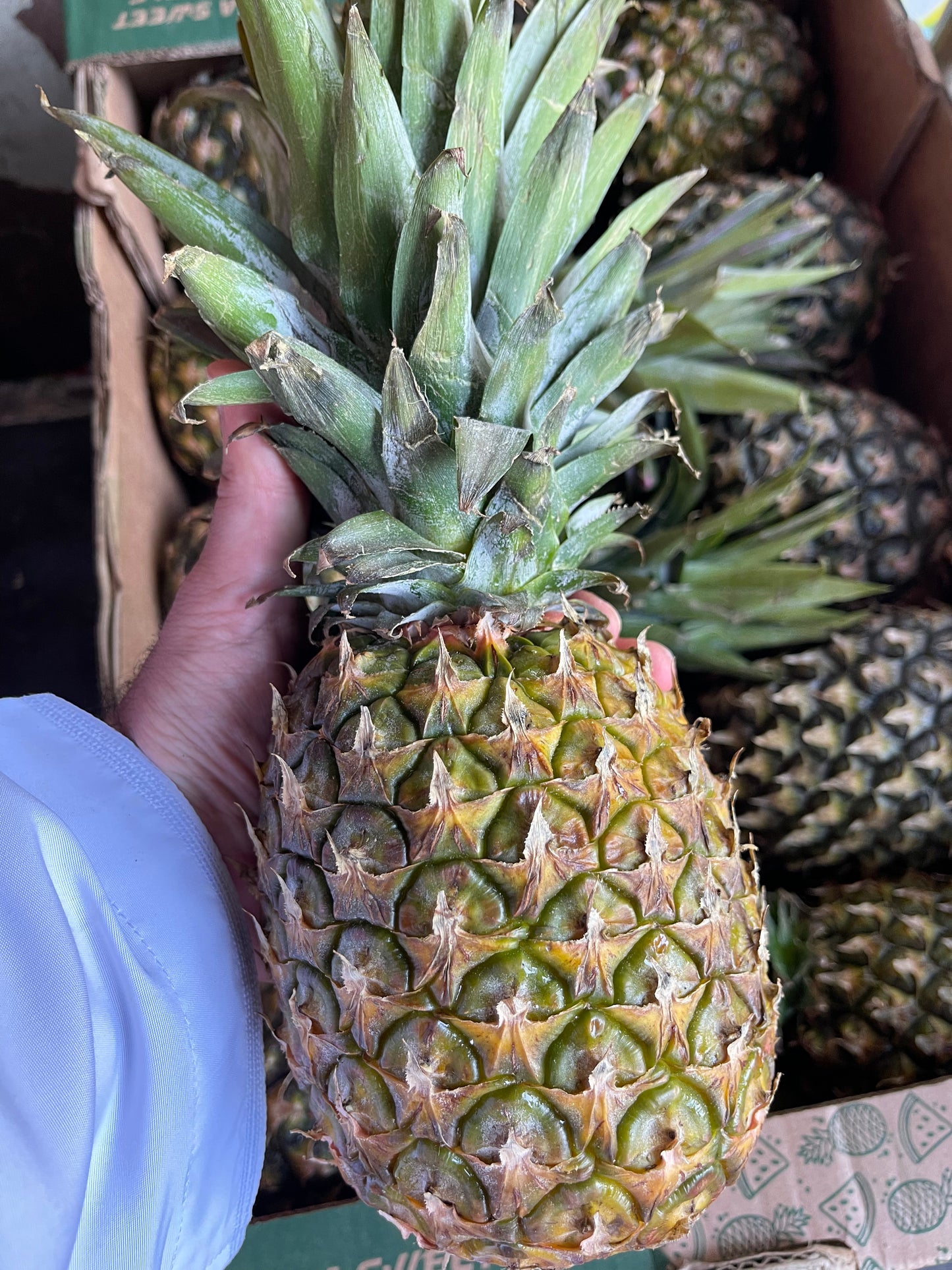 Pineapple 1PC اناناس حبة