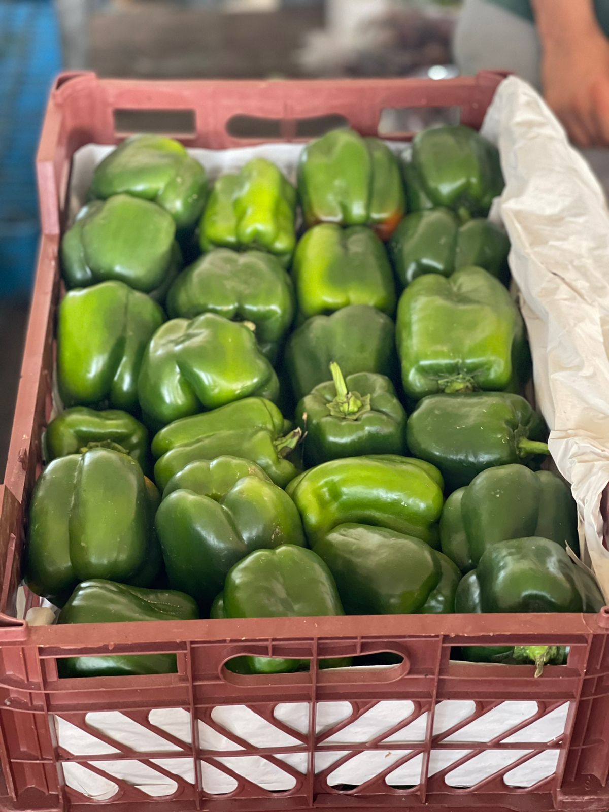 Bell Pepper 1Kg فلفل رومي