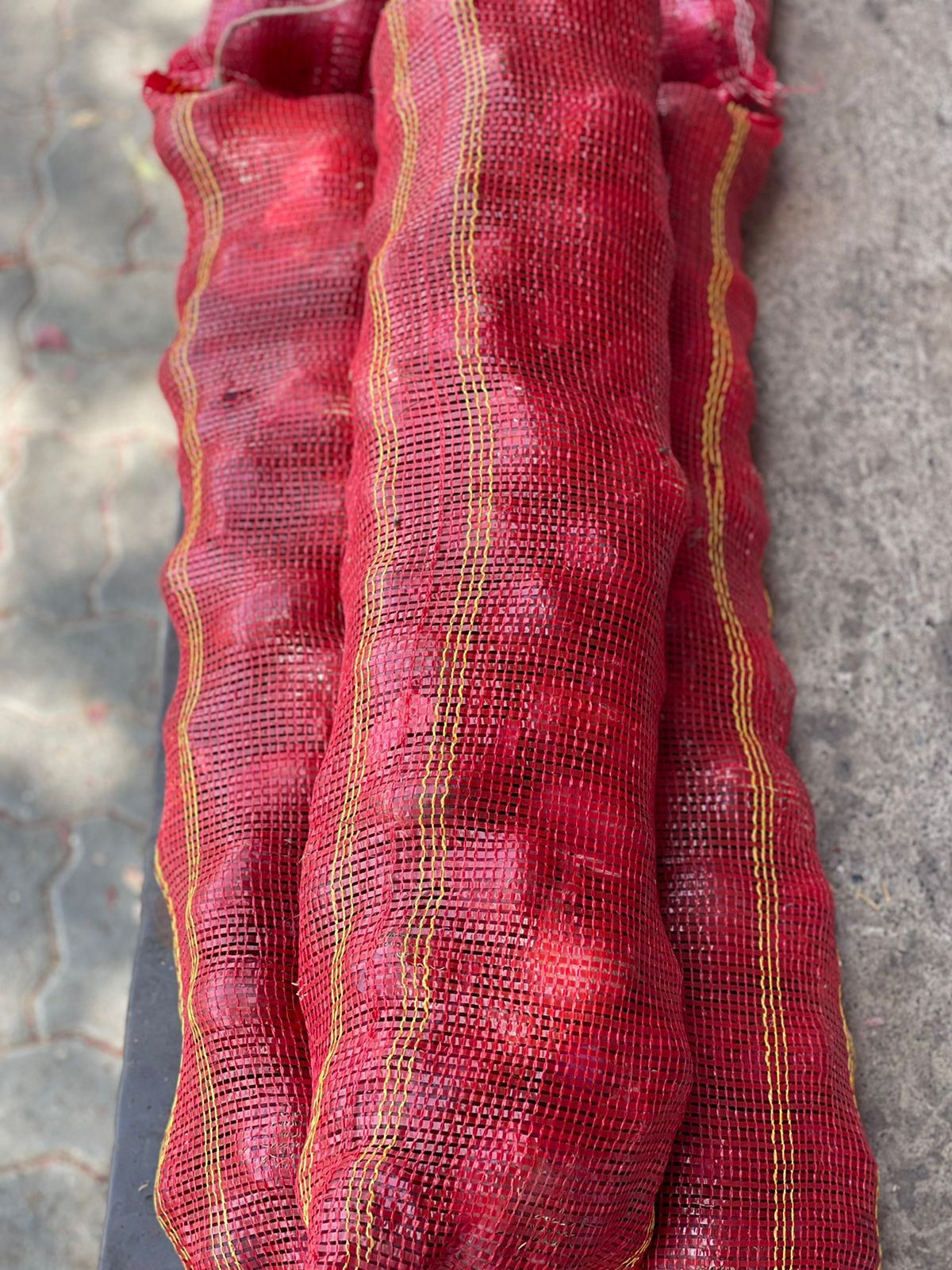 Onion 5-6kg بصل كيس