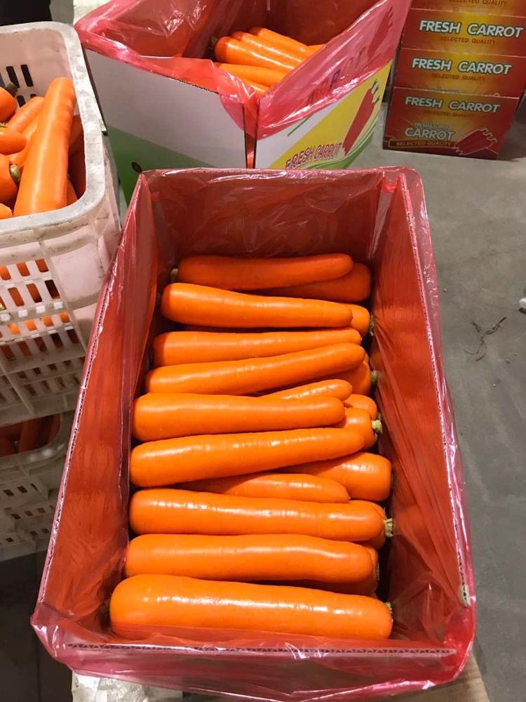 Carrot Iran 0.5Kg جزر إيراني نصف كيلو