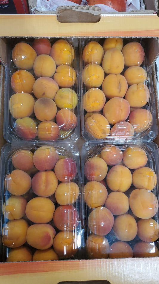 Apricot Jordan (1*4) مشمش اردني